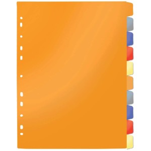 Divisória para Fichário Colorida c/10 6923 DAC
