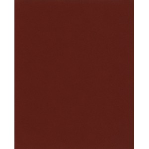 Lixa Massa/Madeira Grão 220 Tigre