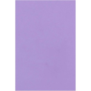 Placa de EVA Liso 40x60cm - Lilás