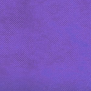TNT Liso 40g - Roxo (1,40m x 1m)