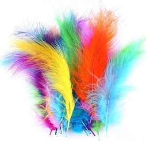Penas Coloridas Sortida - Pacote com 3g